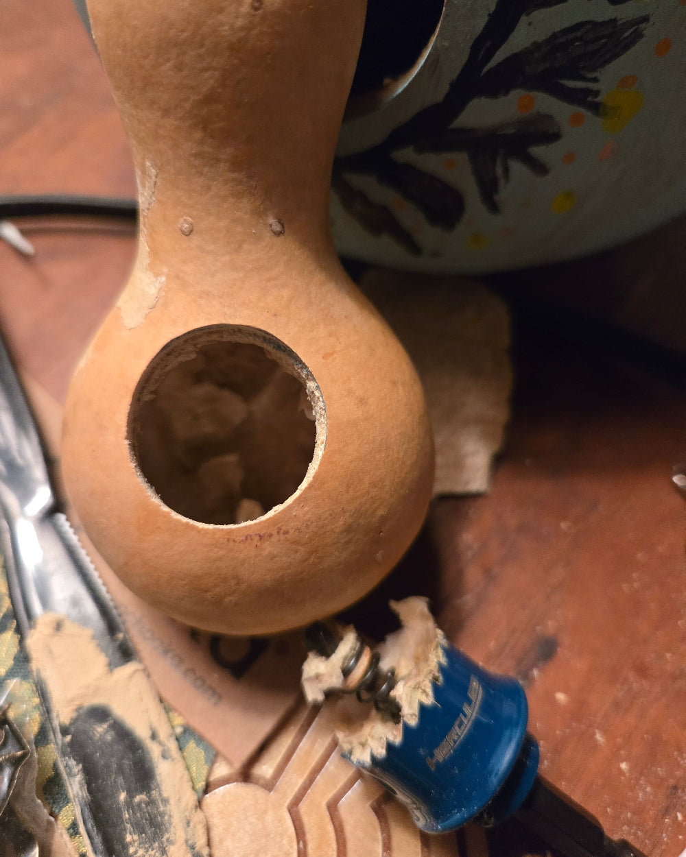 Gourd Birdhouse Workshop with Joanne