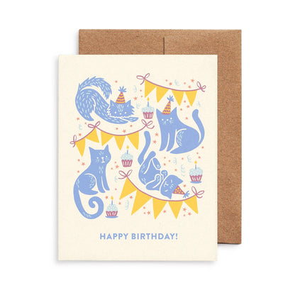 Cats All-Occasion Cards, Box of 8 Assorted