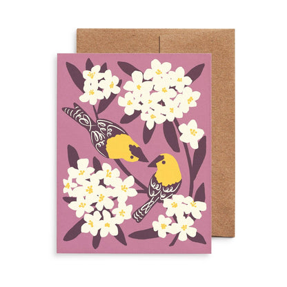 Birds & Botanicals Cards, Box of 8 Assorted