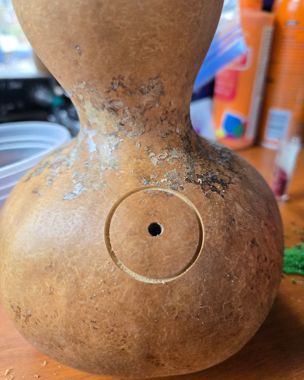 Gourd Birdhouse Workshop with Joanne