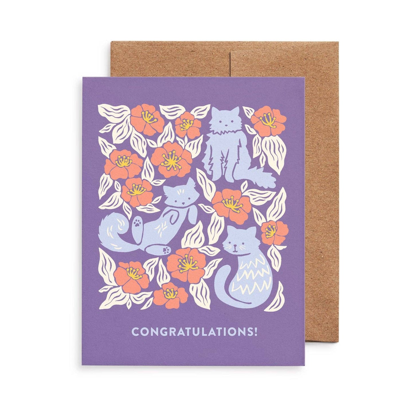 Cats All-Occasion Cards, Box of 8 Assorted