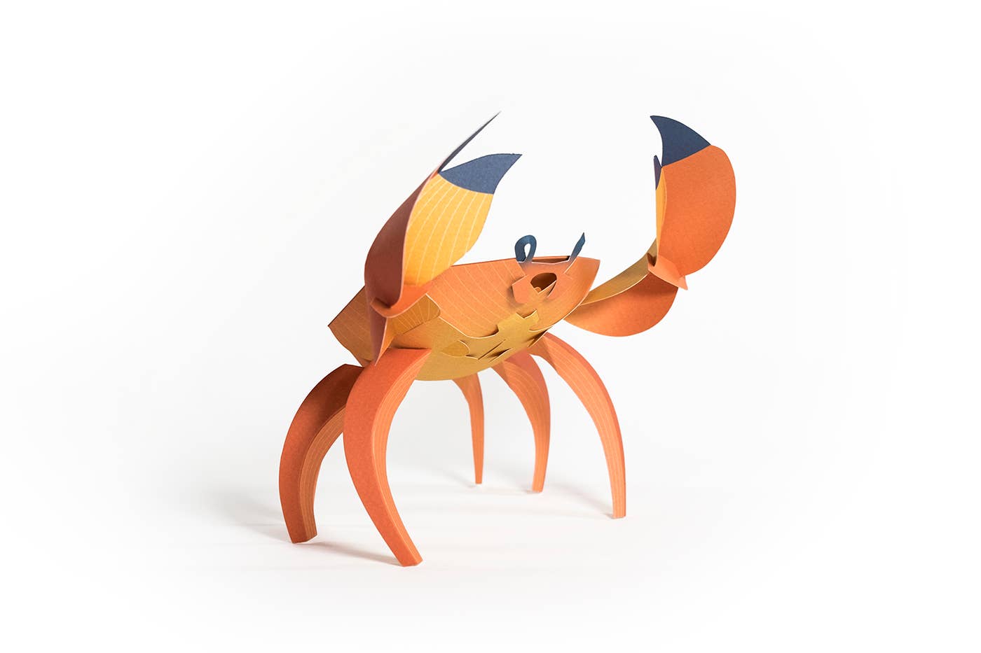 Crab - 3D Paper Figure by Plego