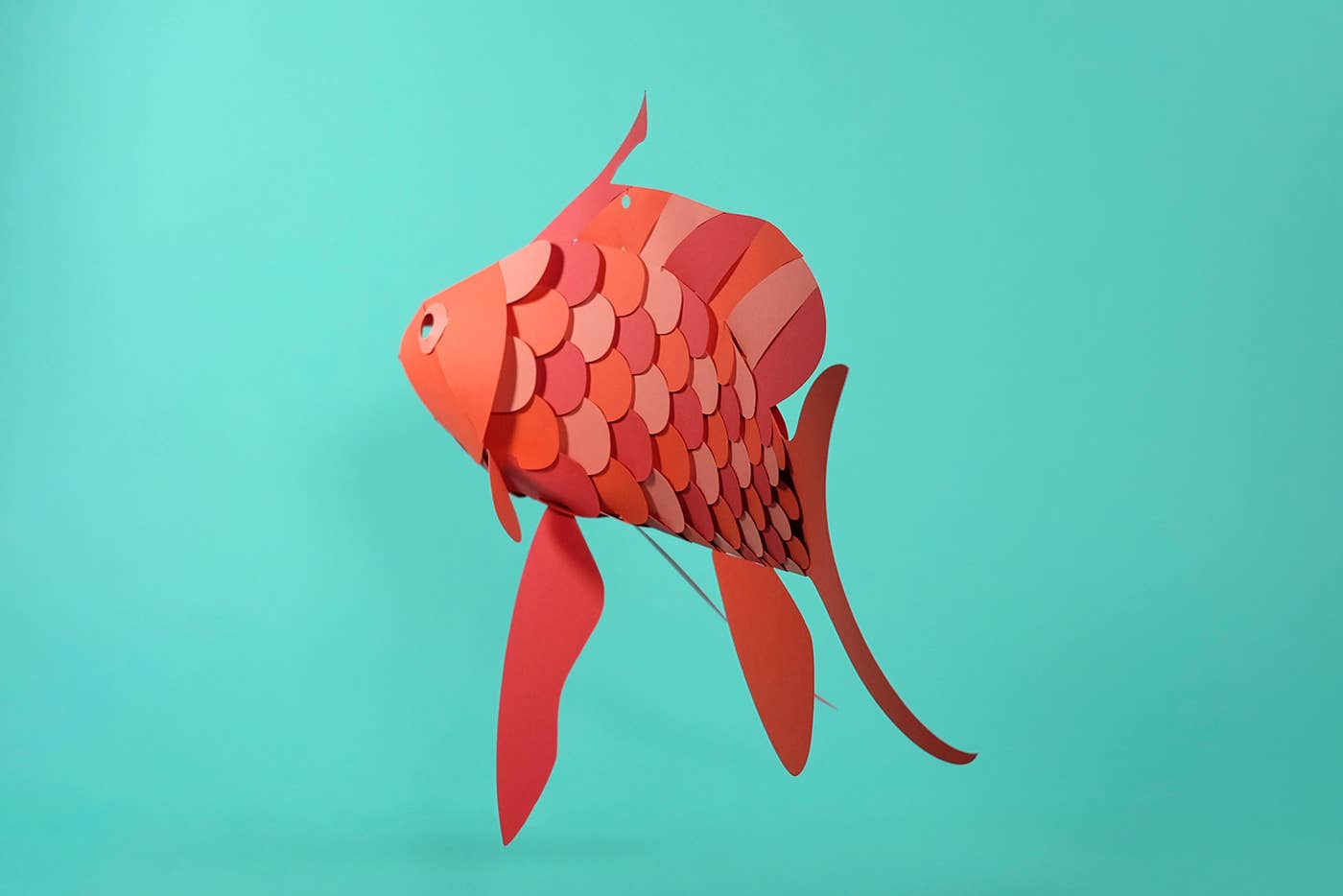 Swallow Sea Perch - Fish 3D Paper Figure by Plego