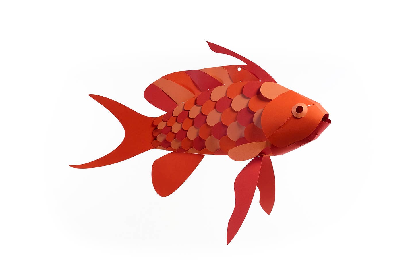 Swallow Sea Perch - Fish 3D Paper Figure by Plego