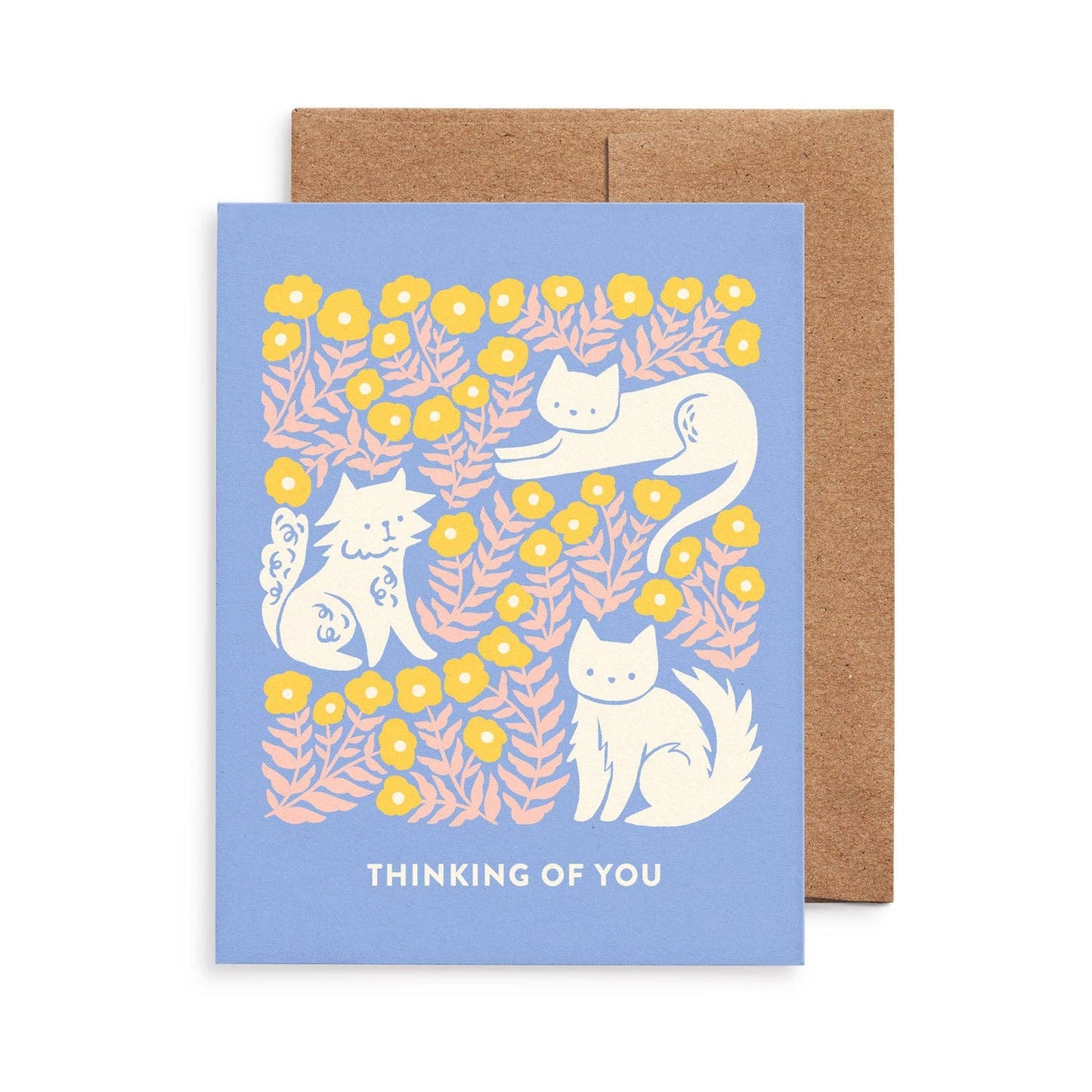 Cats All-Occasion Cards, Box of 8 Assorted