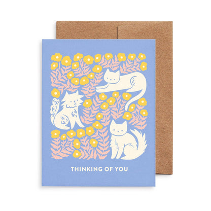 Cats All-Occasion Cards, Box of 8 Assorted