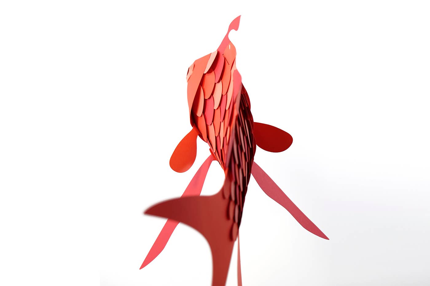 Swallow Sea Perch - Fish 3D Paper Figure by Plego