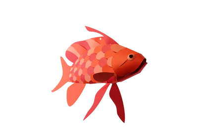 Swallow Sea Perch - Fish 3D Paper Figure by Plego