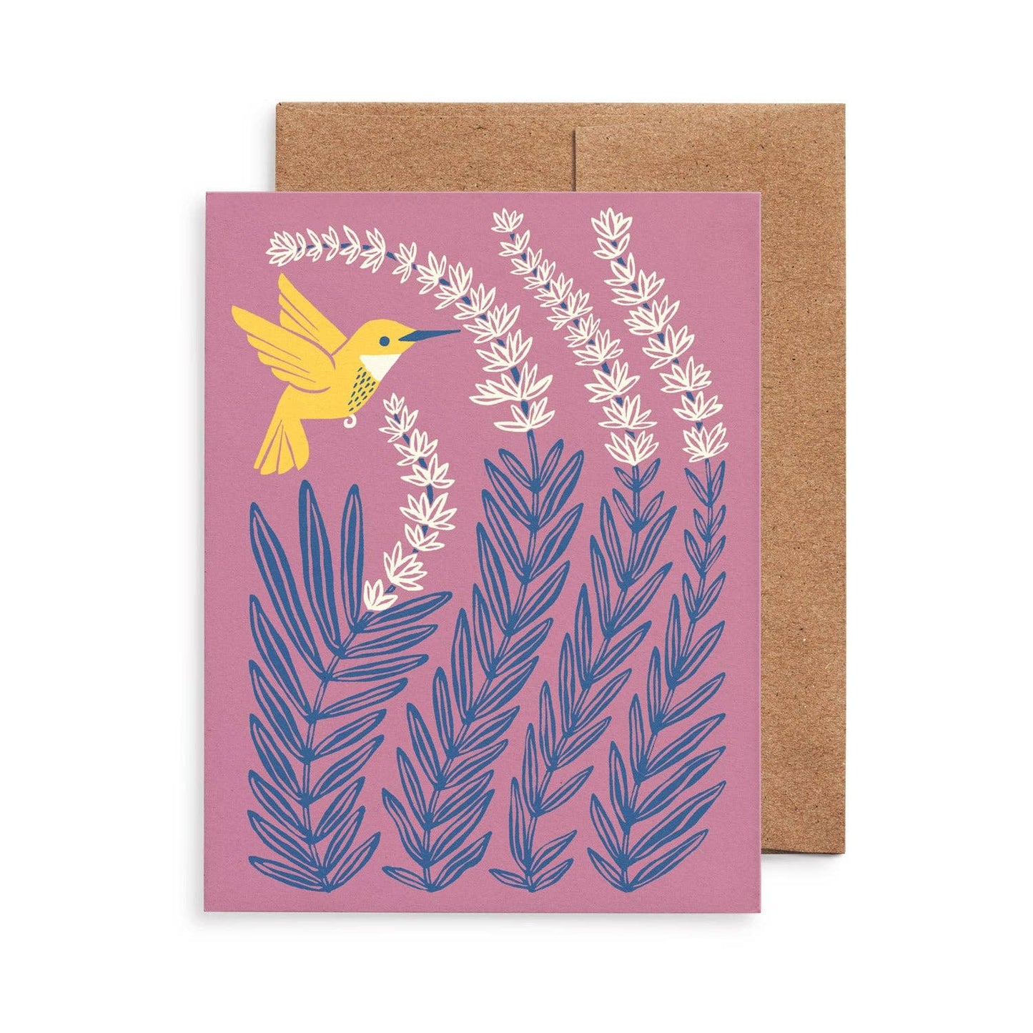 Birds & Blooms Cards, Box of 8 Assorted