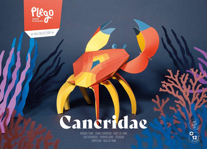 Crab - 3D Paper Figure by Plego
