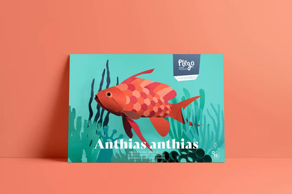 Swallow Sea Perch - Fish 3D Paper Figure by Plego