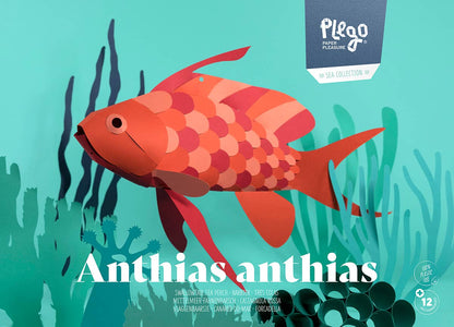 Swallow Sea Perch - Fish 3D Paper Figure by Plego