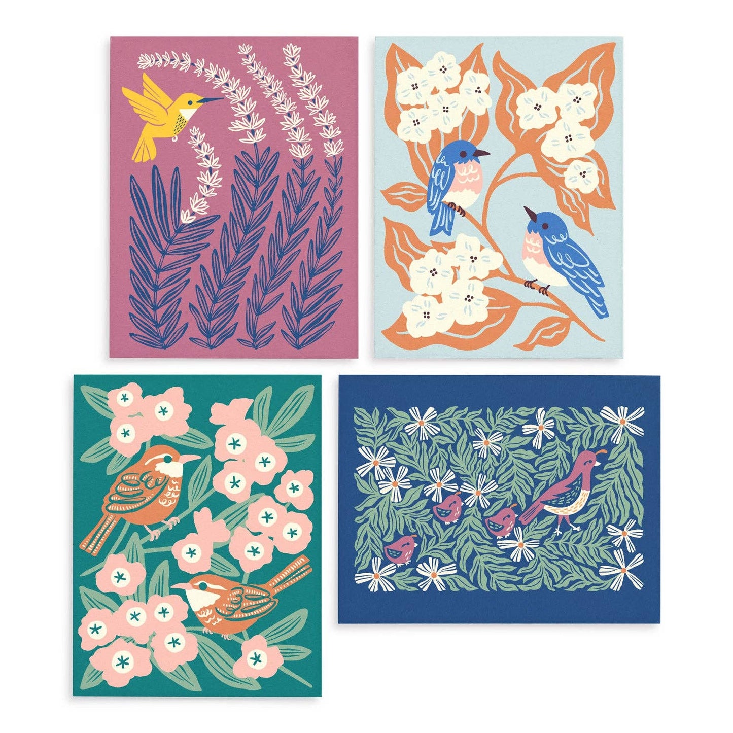 Birds & Blooms Cards, Box of 8 Assorted