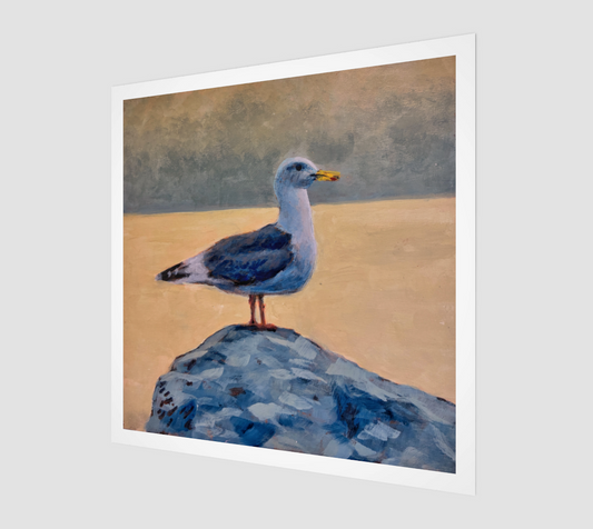 Seagull Fine Art Print